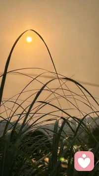 尽力之后就随缘吧，人的手就那么大，握不住的东西太多了，要学会与自己和解，得到未必是福，失去未必是祸，你以为的遗憾其实有可能是躲过了一劫，拐个弯与生活和解配图