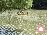 不用卑微讨好换半分温柔，更别用执念困住要走的人。能轻易失去的，本就不属于你。好的关系从不用踮脚迎合，往后，把真心留给值得的人，把偏爱先给自己配图