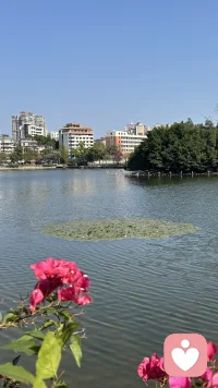 全身心投入去谈恋爱在当下称为恋爱脑，都觉得这是20来岁才做的事，活到40~50就不能有这种行为了，而事实是人到中年你还有勇气和时间去认真恋爱的话才是真的很幸福的，说明你的生命是鲜活的配图