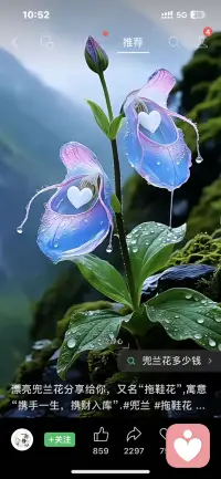 心情美好，一切都美好。