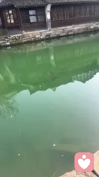 鸟语花香的早上，新的一天开始了，配图
