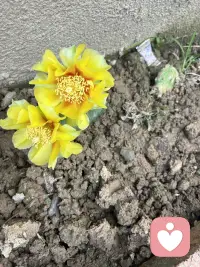 雨天心语

细雨敲窗，心绪漫淌。尘世烟火皆微凉，惟盼良缘相逢，风雨同舟，往后朝夕相依，岁岁情深相守。配图