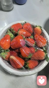 陪你完成一场与自我的温柔和解 告别内耗