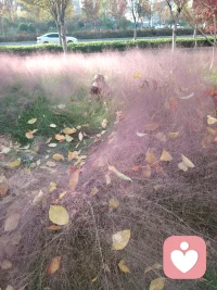 想要废掉一个人，就让他一直闲着。配图