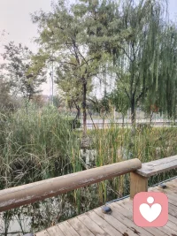 年也过完了，踏实上班吧。配图