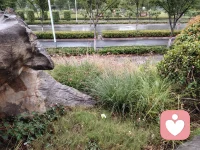 生活需要钝感力❤️配图