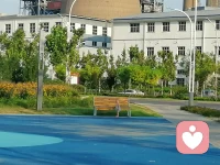 惊蛰
春回大地，
心也向阳生长。配图