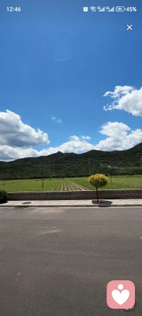 当你反感他人强势，不妨反观自己是否交出了本该坚守的主权。配图