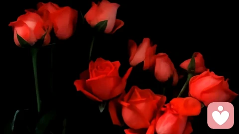 依恋与和解：成年人情感关系的心理疗愈机制