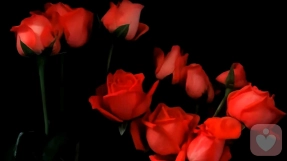 依恋与和解：成年人情感关系的心理疗愈机制