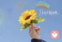 白头如新，倾盖如故。
缘分从不由时间长短定义，
有的人相伴半生，仍隔山海；
有的人初见一面，便已心安。
不必强求，不必遗憾，
懂你的人，一眼便是归处。配图