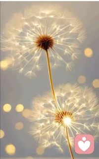 在这车遥马急的世间
慢慢来
是一种诚意配图