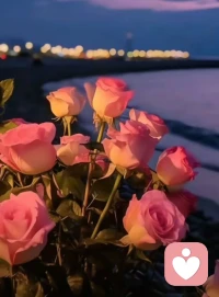 人与人的关系一定是，

敬于才华，合于性格；

久于善良，终于人品!配图