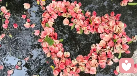 高级的婚内孤独:两个人睡在一张床上，却在两个世界