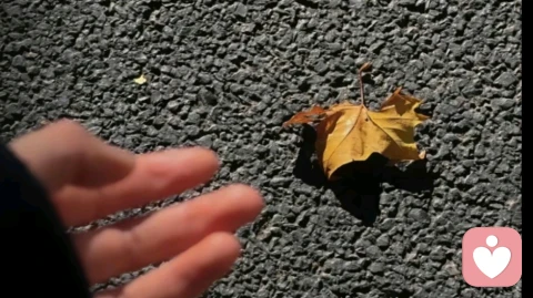 心理学拆解:为什么好女孩总是被“坏男孩”收割？