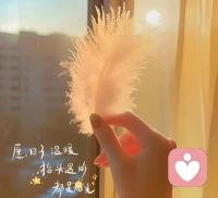 时而开心  时而迷茫
  
时而清醒   但依旧善良配图