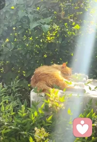 平凡的日子里 不动声色就很美好

周一事情很多，但问题不大，在调整，慢慢来配图