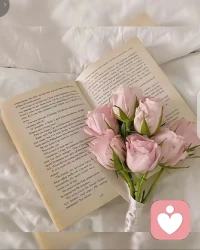 今天是注册的第25天配图