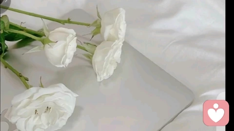 为什么越在乎,反而越容易失去