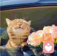 别给情绪加滤镜。

健康快乐即顶配！配图