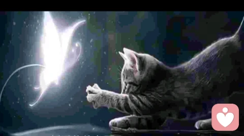 心理自救的真相：先放过自己，再热爱生活