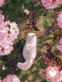 当执念开始消失，平静会贯穿每分每秒!