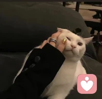 这烟火人间，
事事有遗憾，事事也值得，
允许自己偶尔的虚度吧配图