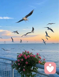 我知我喜乐，纵情跋涉配图