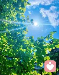 我说，此刻最好！

总有人间一两风，填我十万八千梦配图