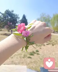 春来无事，只为花忙
今天阳光超好