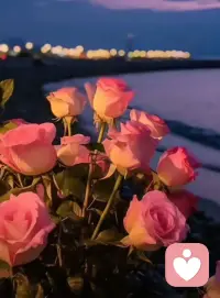  我爱我缓慢向上的勇气🔝