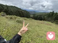 新人报道……需要倾听秒回的宝宝可以滴滴我哟配图