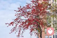 生活不必事事完美，允许自己偶尔疲惫、偶尔脆弱，就是最好的自愈。