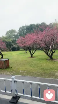 把情绪调成静音模式，不纠结过往，不焦虑未来，专注当下就很好。