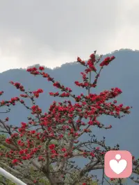 正月初十，寓意十分圆满，十分顺遂。
很多人在这一天开始感到一丝紧张，担心节后回归工作学习会不适应，甚至出现注意力涣散的情况。别担心，这不是状态不好，而是心理学上典型的“心理缓冲期”需求。
今天试着做三件小事，给自己一个温柔的过渡：

1. 设定“微仪式”：晨起喝杯热茶，或在工位摆一束小花，用具体的仪式感告诉大脑“新生活开始了”。

2. 拆解任务：不要逼自己立刻满血状态，先列出今天只要完成3件的小事清单，完成即是满分。

3. 允许“不完全”：允许今天的节奏慢一点，允许偶尔的走神，真正的完美，是允许一切发生后的从容。
愿你初十拾光，心有十全十美，步履从容有力。
#给力心理 #初十拾光 #心理疏导 #开工不焦虑配图