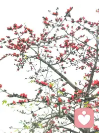 马年正月初十，我们聊聊“十”这个数字。
在追求“十全十美”的路上，我们往往对自己太苛刻。其实，心理学告诉我们，不完美，才是生活的常态。
就像初十的月亮，虽非满月，却清辉皎洁，别有一番风味。
不要因为今天没做完某件事而自责，不要因为还没达到预期的“满分”而焦虑。
每一个小小的进步，每一次对情绪的觉察，都是你通往圆满的阶梯。
今天，请对自己说一句：“今天的我，也很好。”
关注给力心理，看见内心的力量，接纳原本的自己，马年每一天都将变得更笃定、更丰盛。
#心理成长 #接纳不完美 #给力心理陪你过年配图