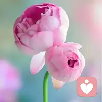 年龄只是个数字，年轻是种心态。从今天起，少琢磨“我又老了”，多想想“今天能做点啥让自己开心的事”你对生活笑，生活就会对你笑，你的脸，也会跟着笑起来。