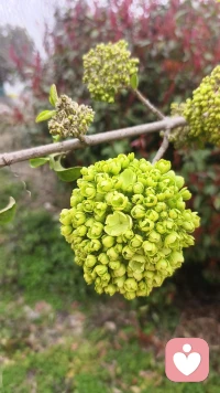 人生就是一场旅行，一趟行脚，每个人都是旅行家，都是行脚僧，幸福不在别处，只在路上，只有当我们的双脚紧紧贴在大地的时候，才能切实地感知到力量和方向。配图