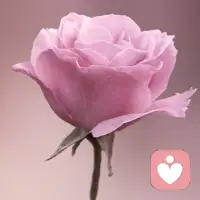 人在面对重大失去时，往往会本能地逃避、找借口拖延。但真正的成长，恰恰来自于直面“最坏结果”的勇气——哪怕这个结果像“跳崖”一样可怕，只有跳下去、接受它，才能获得新生，用全新的视角看待过去的纠结。配图