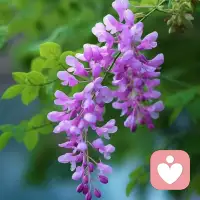 早安分享[太阳][太阳][太阳]
 
真正的接纳，不是强行改变，也不是非要解决所有问题，而是看见它、允许它存在就好。
 
人就像太极，有阳面也有阴面，好与坏本来就是共存的，不必只接受好的，排斥不好的。每一个阴暗、低落、不顺的时刻，其实都是在提醒我们觉醒、成长。
 
放空、静心、接纳、允许，心轻松了，路自然就顺了。配图