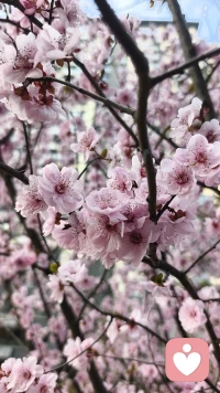 我们每个人的生活里，都绕不开情绪这一课题，尤其作为女性，我们常常被情绪牵动，却又不知如何与它相处。今天想和大家分享的核心，就是情绪的四大修行方向，做好这情绪四修，我们便能学会与情绪共处，成为情绪健康、优雅从容的自己。
 
首先要明确的是，情绪从不是我们的敌人，活着的人，生来就有情绪，我们不必追求消除情绪，而是要学会觉察、看见、释放与转化，最终做到驾驭情绪，甚至利用情绪创造属于自己的美好。配图