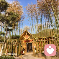 你若盛开，蝴蝶自来配图