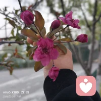 能让人真正幸福、成事的，
从来不是选一条“完美的路”，
而是有一颗安住当下、不慌不躁、认真走好每一步的心。配图