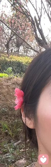 桃花已看
会有桃花运吗……