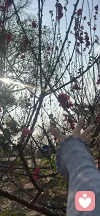 桃花已看
会有桃花运吗……