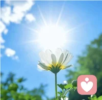 上午好！生活允许慢慢来，心也允许慢慢安放，不管你想说什么，我都在这里静静的陪着你！配图