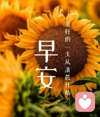  开启新的一天，带上你的微笑与善良，和好运并肩同行，愿你今日诸事顺意，元气满满。新的一天， 加油～～❤️🌷配图