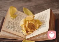 爱是偶然的，平静是选择的。
爱可能随时消散，平静却可以自己给养。

当你不再渴望被谁完整，
你就真的完整了。

2026，终于敢坦然说：
我不需要谁来完整我的人生，
因为我自己，早已圆满。配图