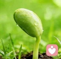 每个人的世界都会下雨，我没有办法在你心里撑伞，但我愿意陪着你。配图