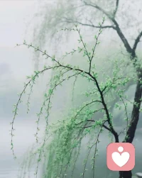 生活的模样，从来由心而定。不必纠结于风雨坎坷，心怀乐观，便总能在阴霾中寻得光亮；嘴角含笑，便总能在平凡中遇见温柔。
   你若乐观，生活皆是美好；你若微笑，每天都是晴天。配图